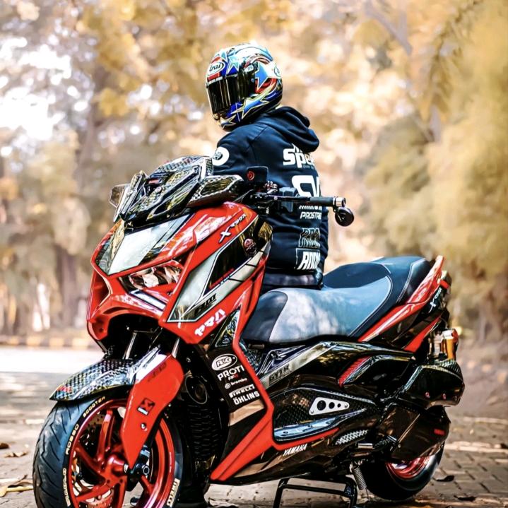 野猪骑士（新人涨粉一千万）！！！