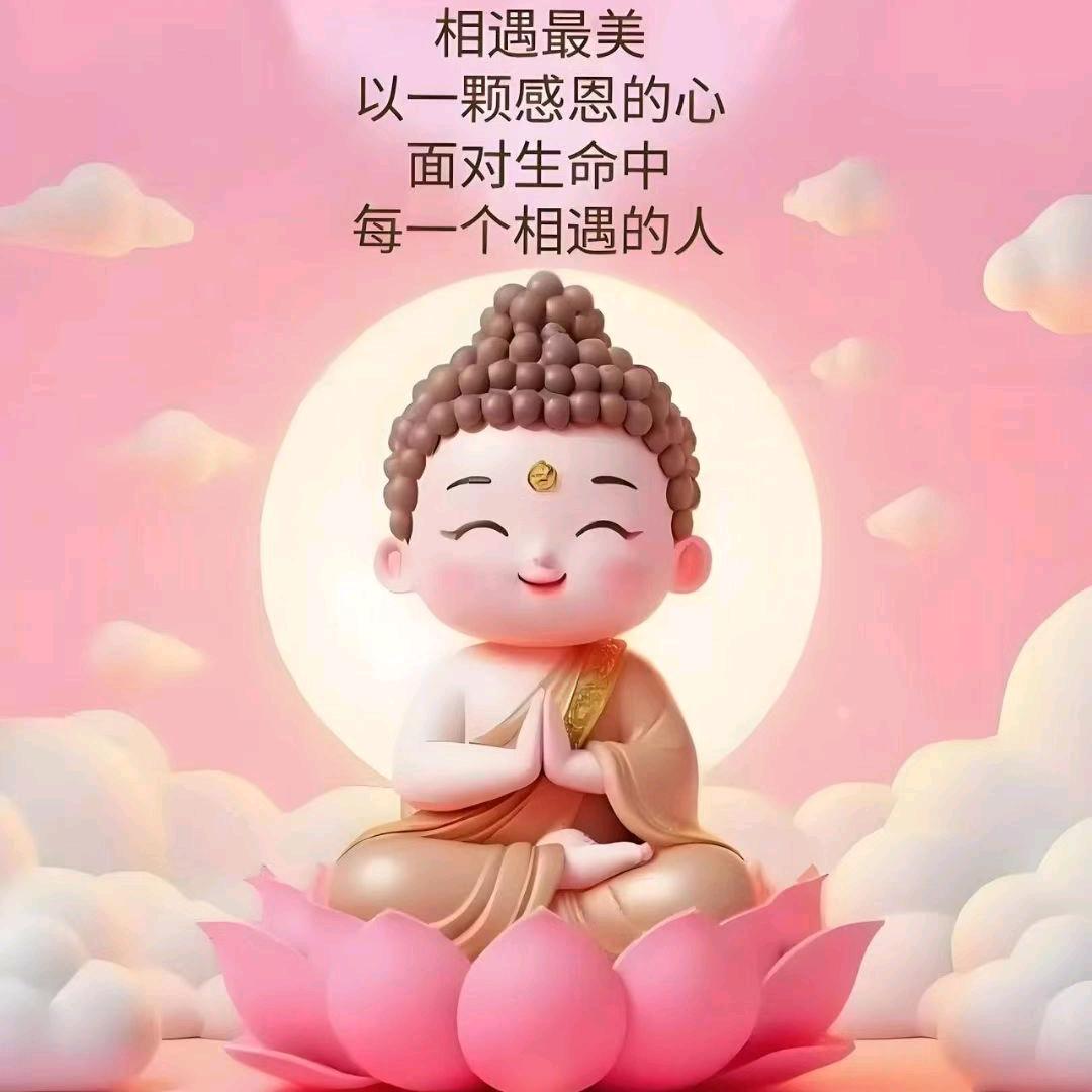 🌸梅姐 🌸