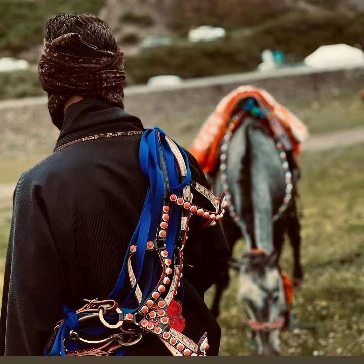 ༄རེ་བའི་✨ལམ་བུ།