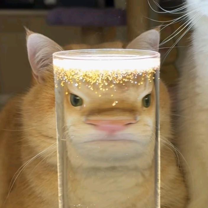 秋叶未见