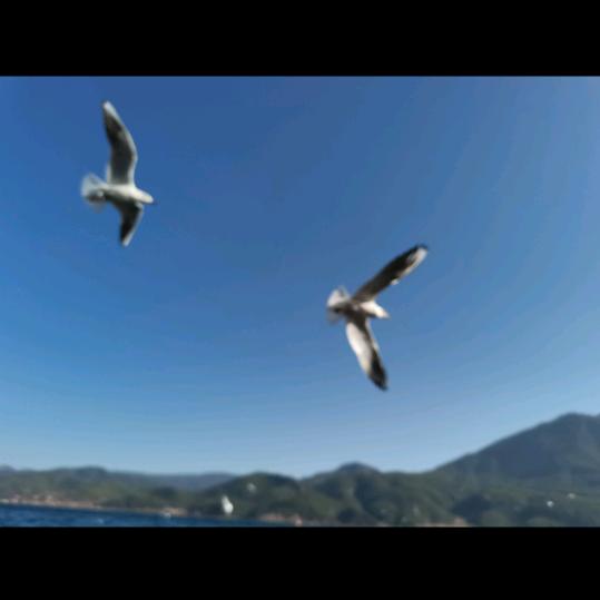 一场信仰的旅途374839358