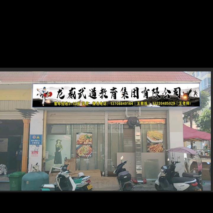 龙威武道教育