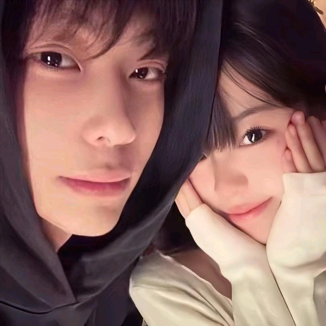藏红花
