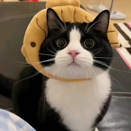 阿月.