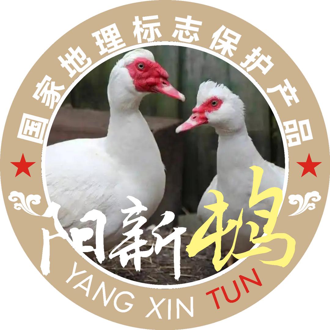 阳新屯鸟汤馆（官方号）