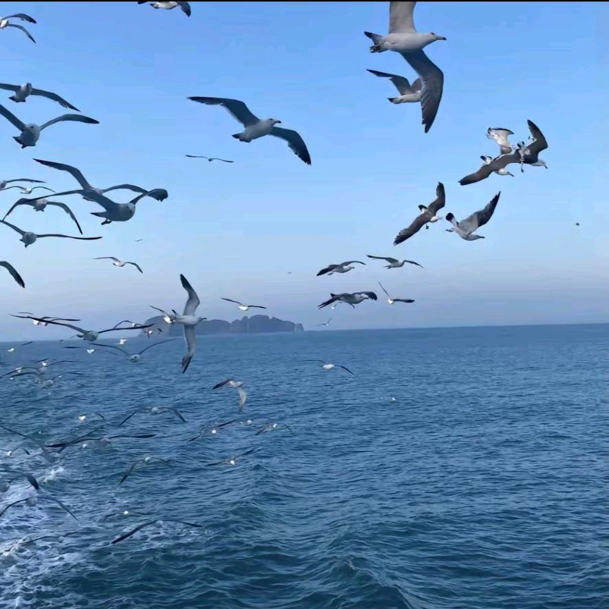 嵊泗美心海景民宿嵊泗美心海景公寓