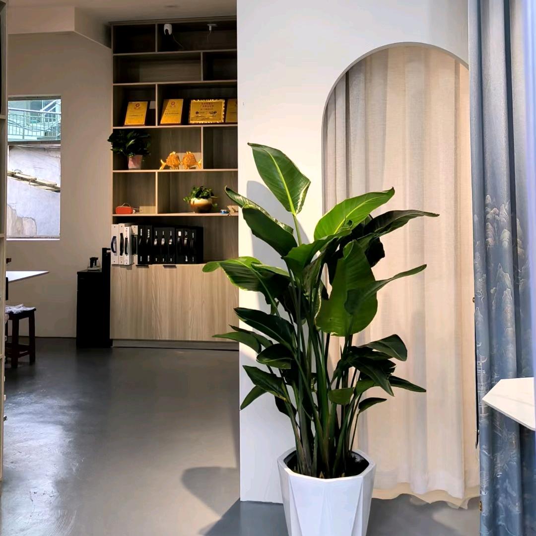 洋湖金帷燕窗帘