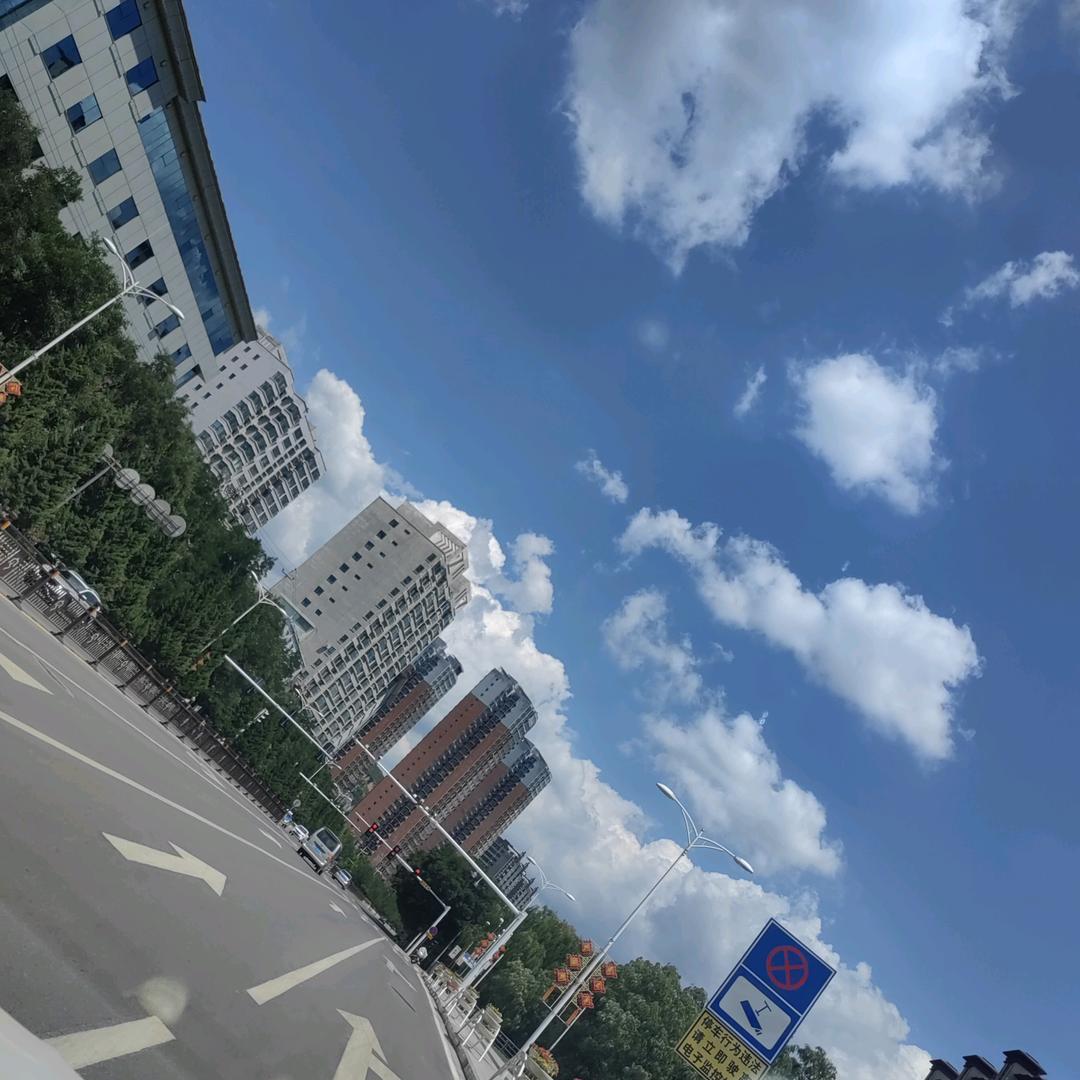 Yang少