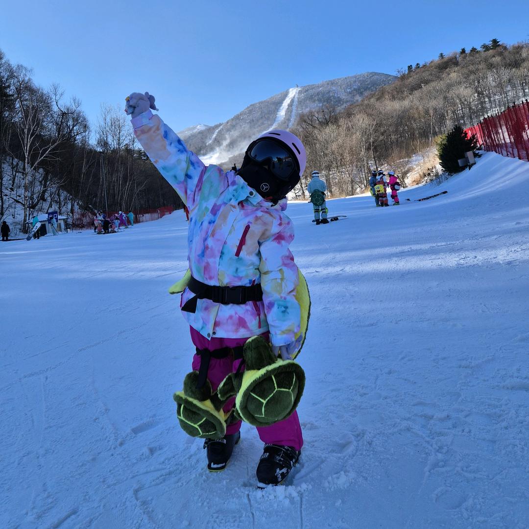 梦（年底忙飞版）