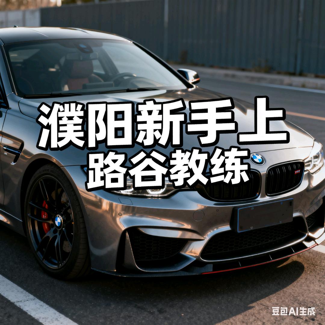 濮阳安驾谷教练
