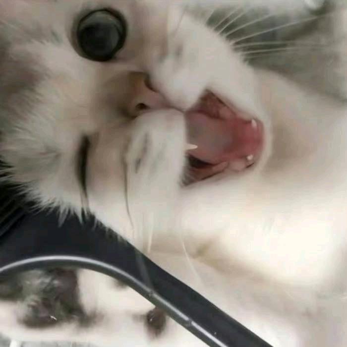 cyu.