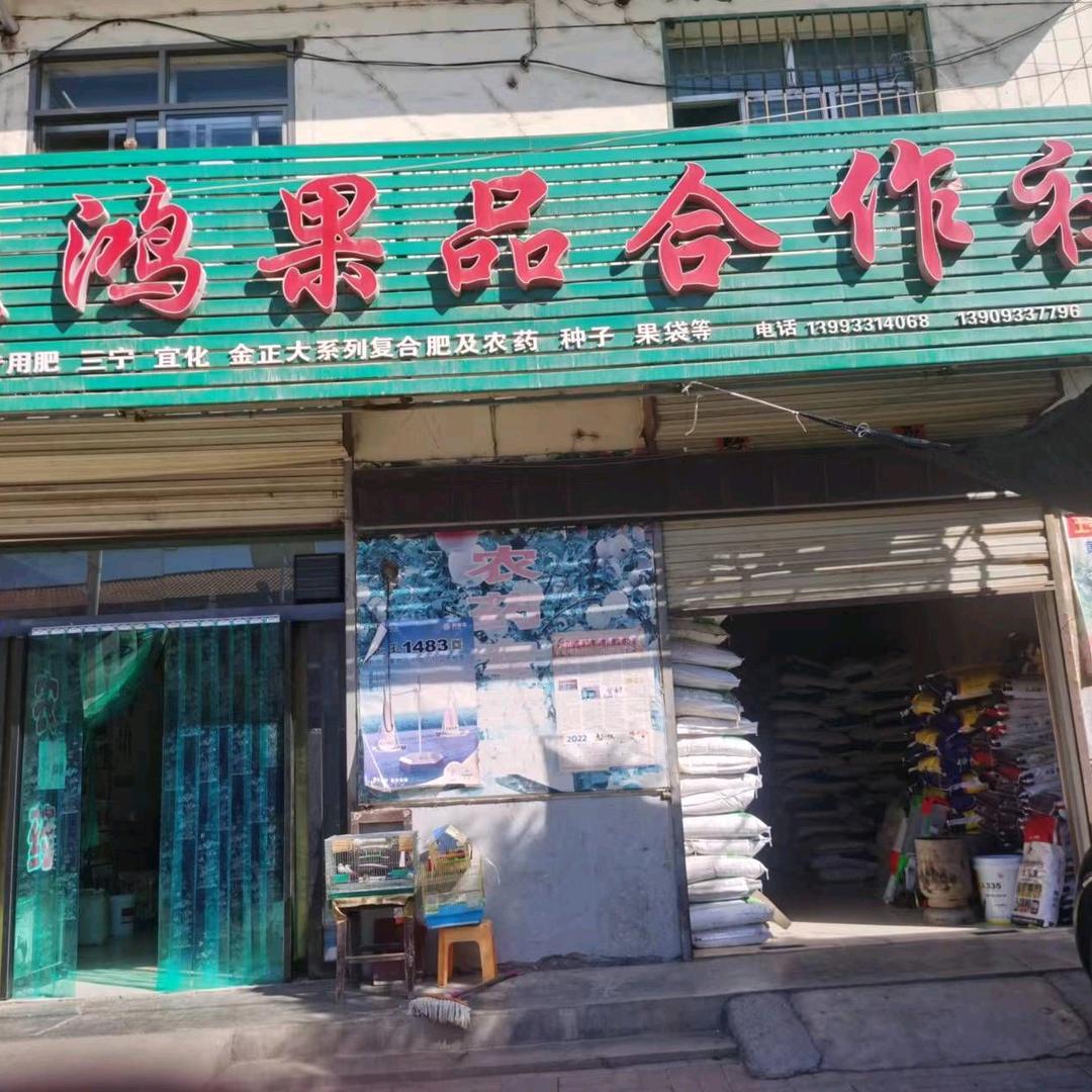细巷飞鸿果品专业合作社