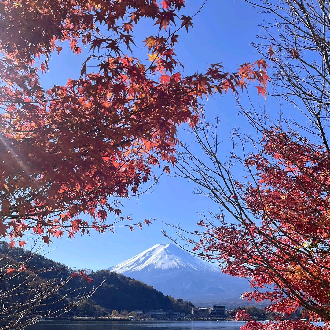 山妹子