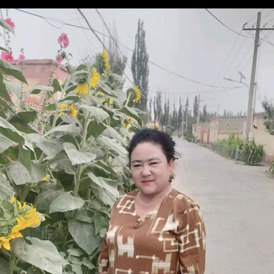 买热木古丽