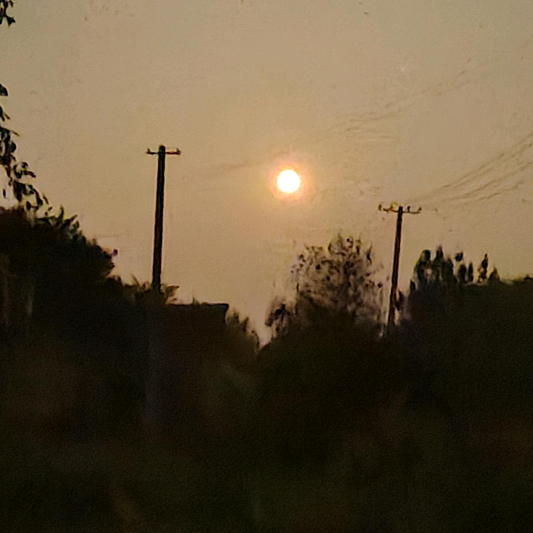 夏天的大西瓜