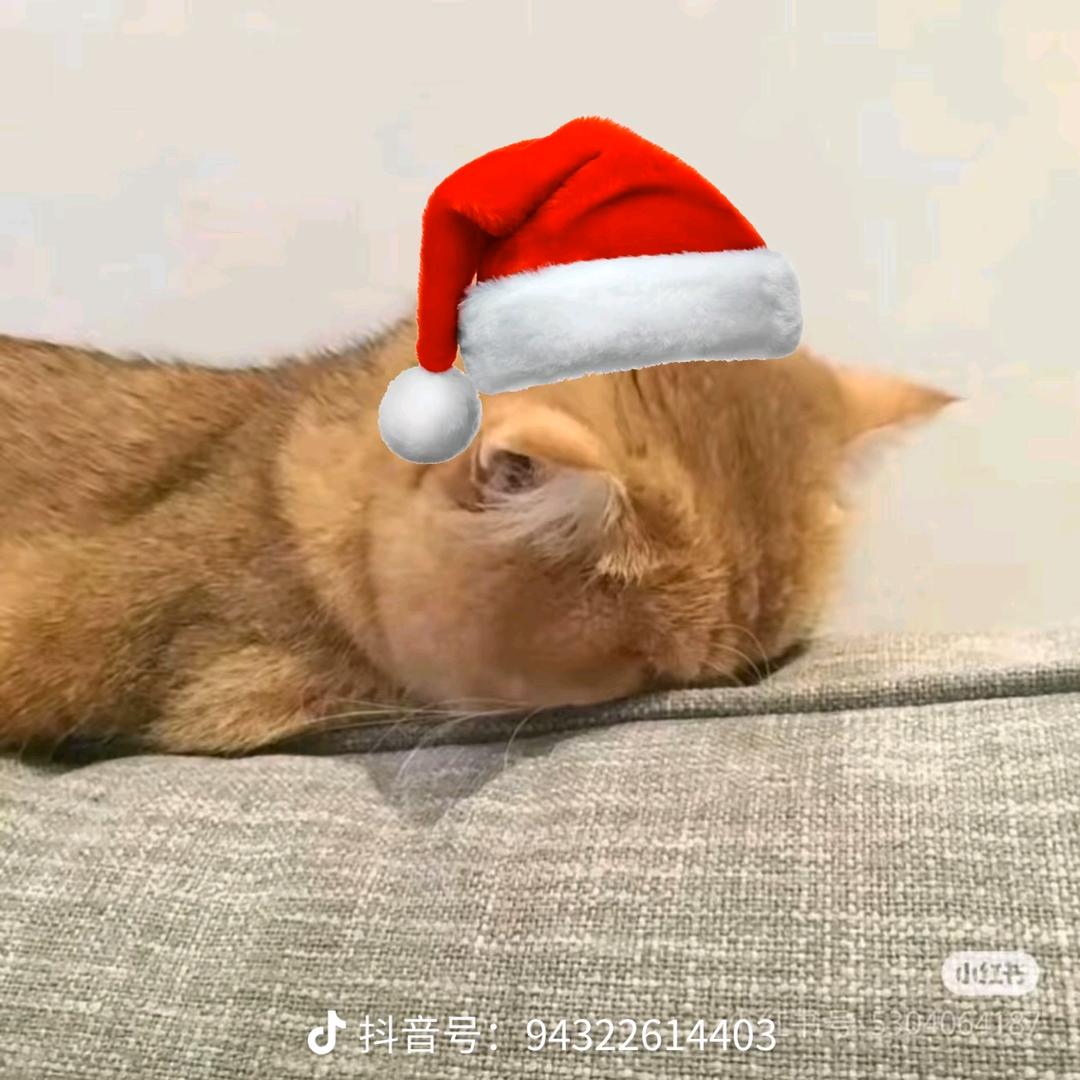 香辣土豆泥吃土豆