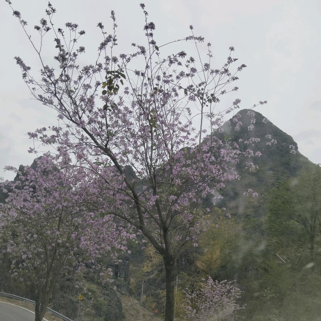 爱雨成风