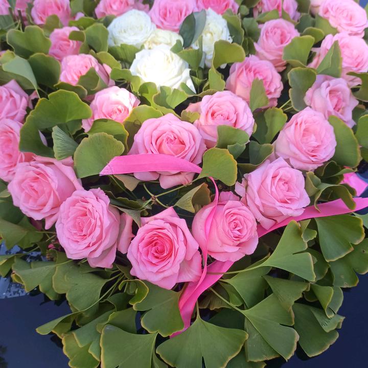 王芹