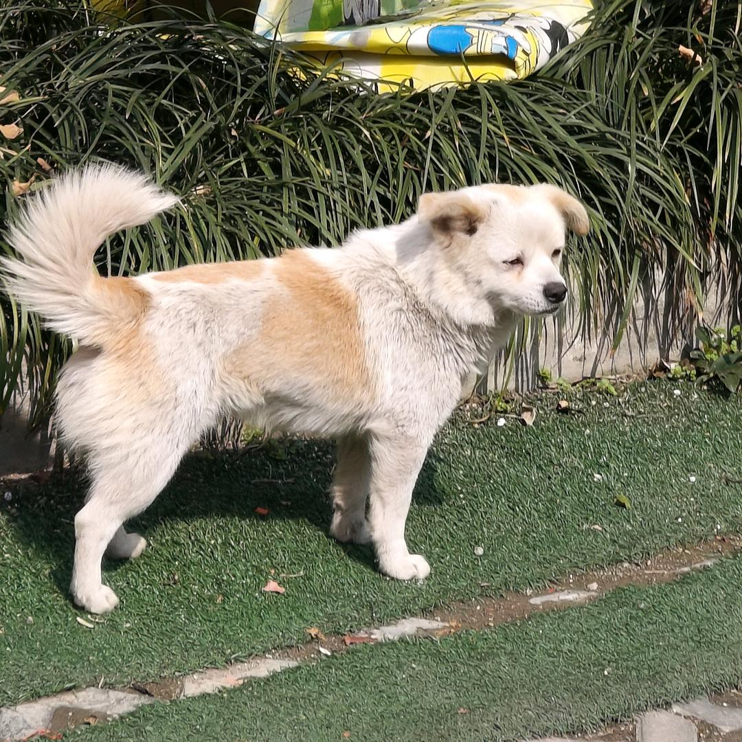 计算机二级不过不改名