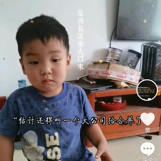 微观调控者