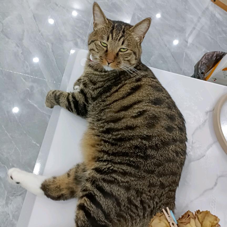 高跟鞋跑酷我最美