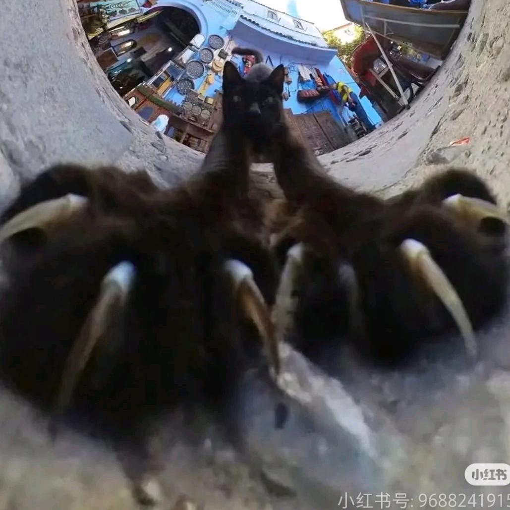 AAA墨师傅自热饭批发