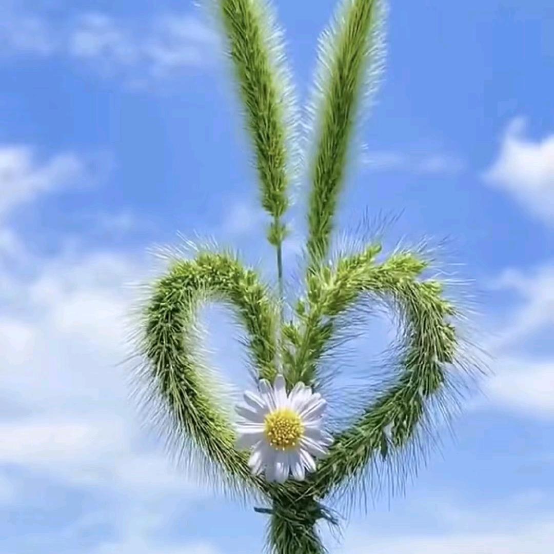 沉浸式打王者。