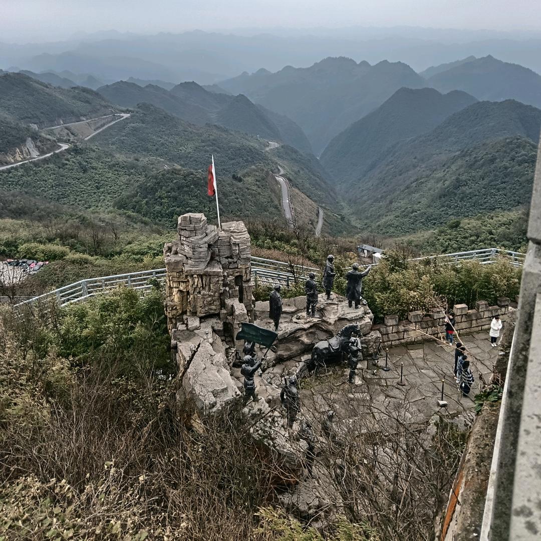 一树临风
