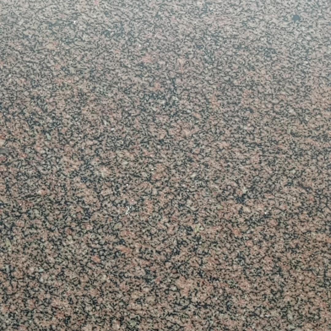 谁无狂风劲雨时