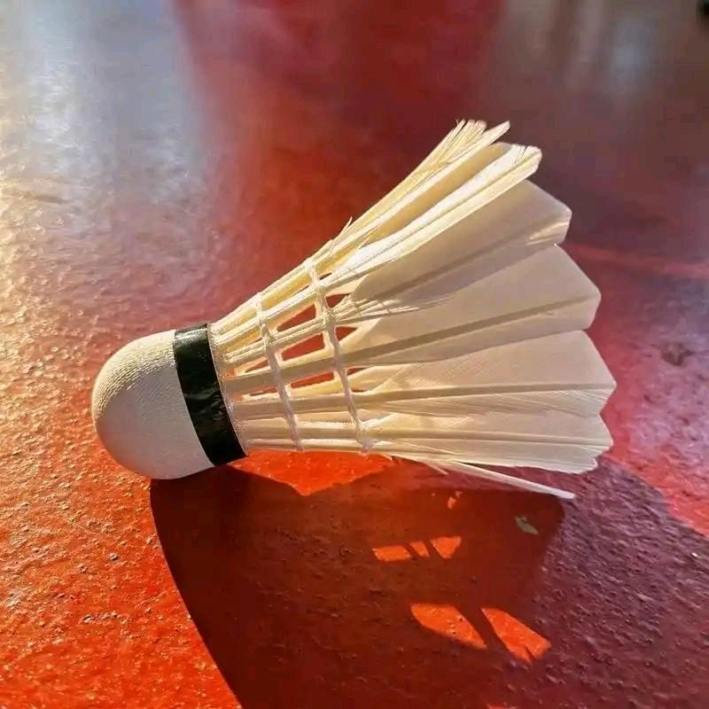 博恩体育优品道羽毛球-小何教练