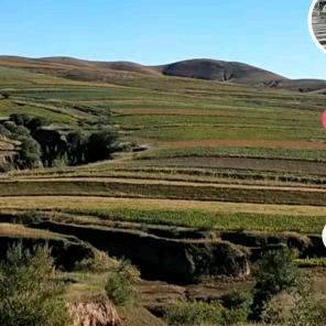 你我是朋友？☜