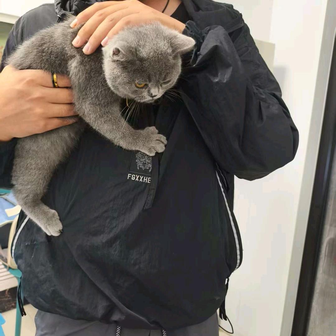 大萱馒头