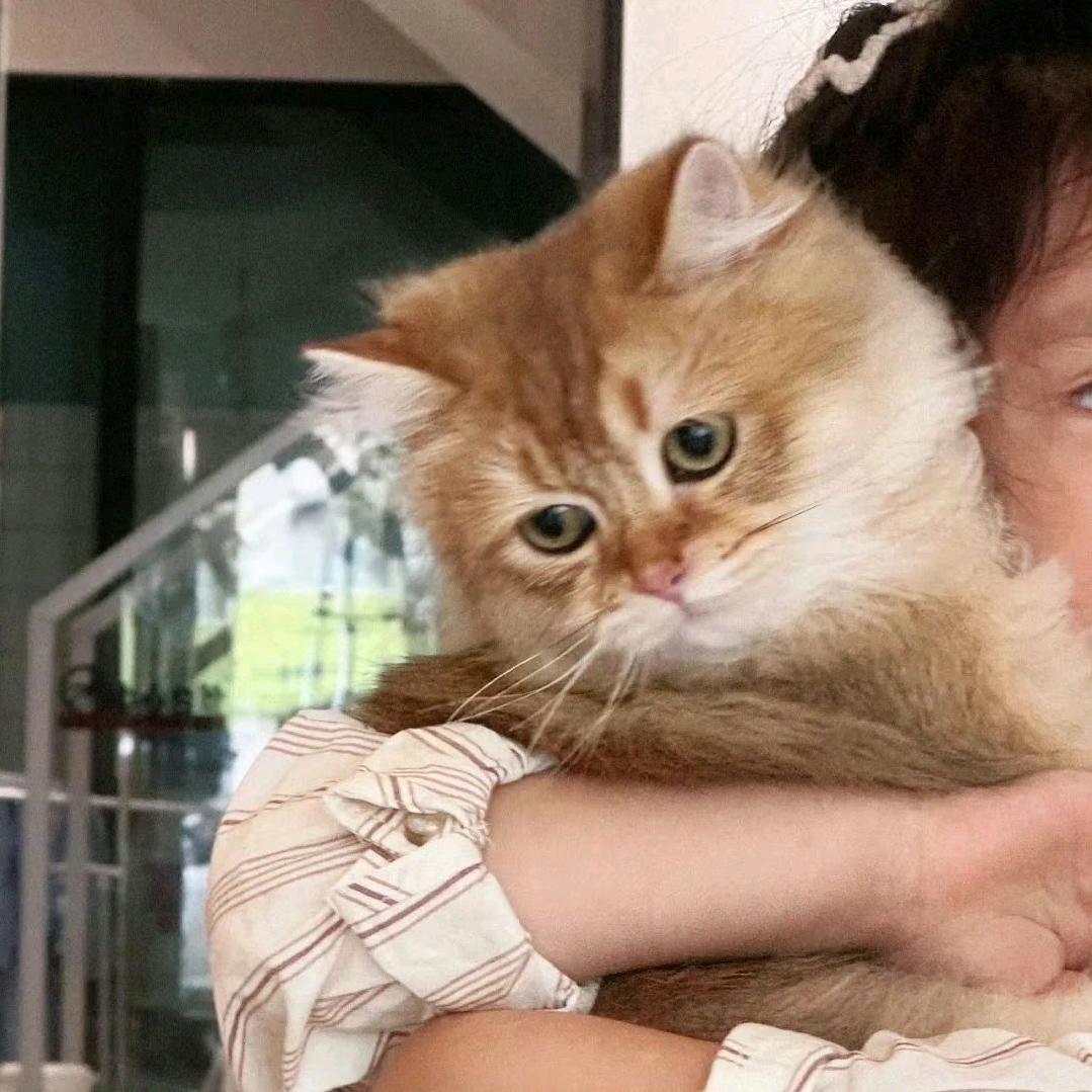 陕西汽车技工学院罗老师