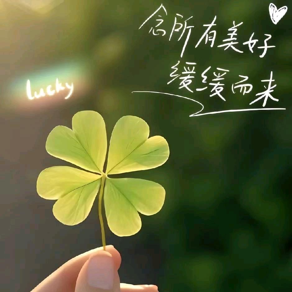 王者荣耀-安好
