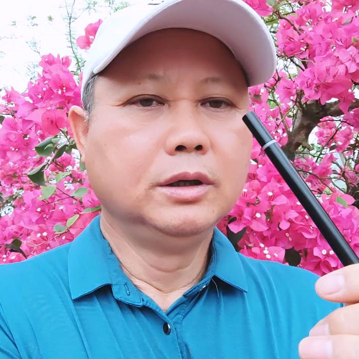 九哥（中午12：50开播）