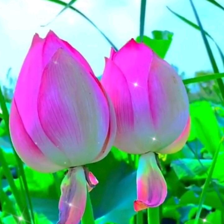 人心难测
