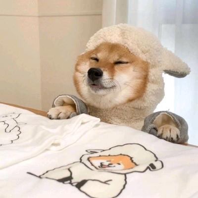 西安代驾小王子