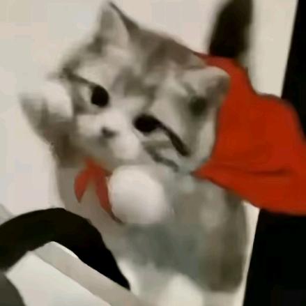 ʚ阿渔不语^^ɞ