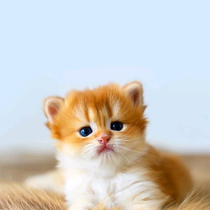 小榆妈妈要努力