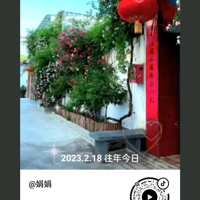 娟娟