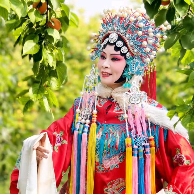 秀萍-河南梨花苑豫剧