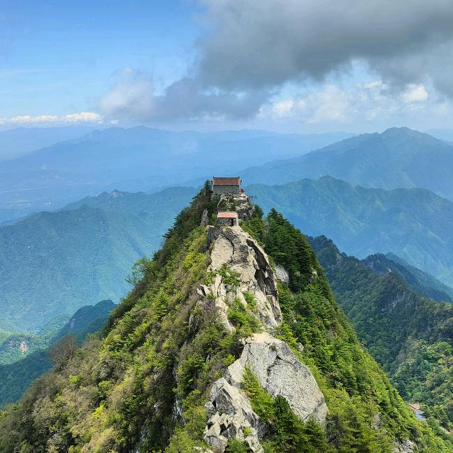 小小张的日常