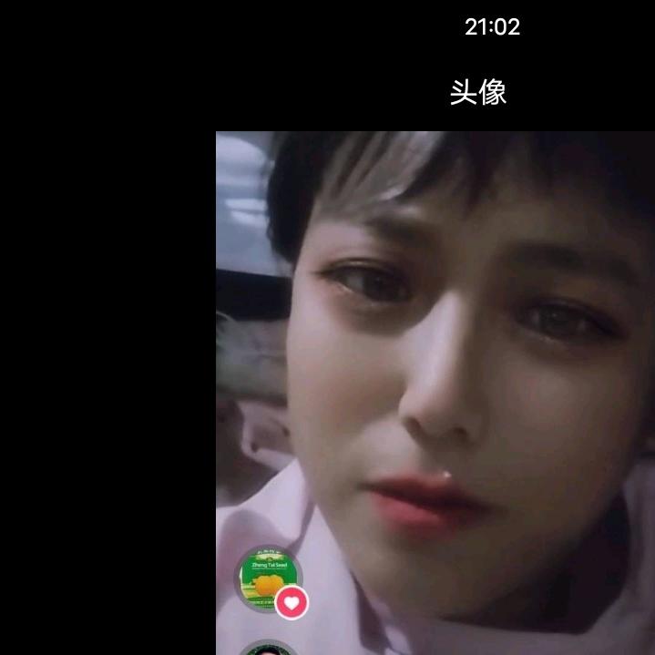 一八三一七八八一三六三加V