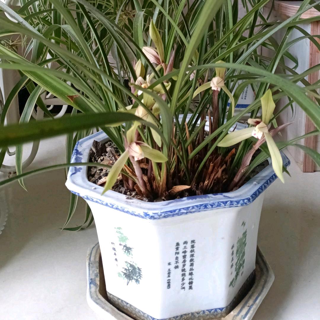 @沉默是金