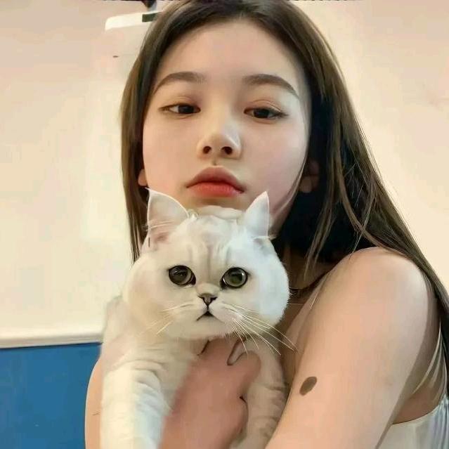 慧芳啊
