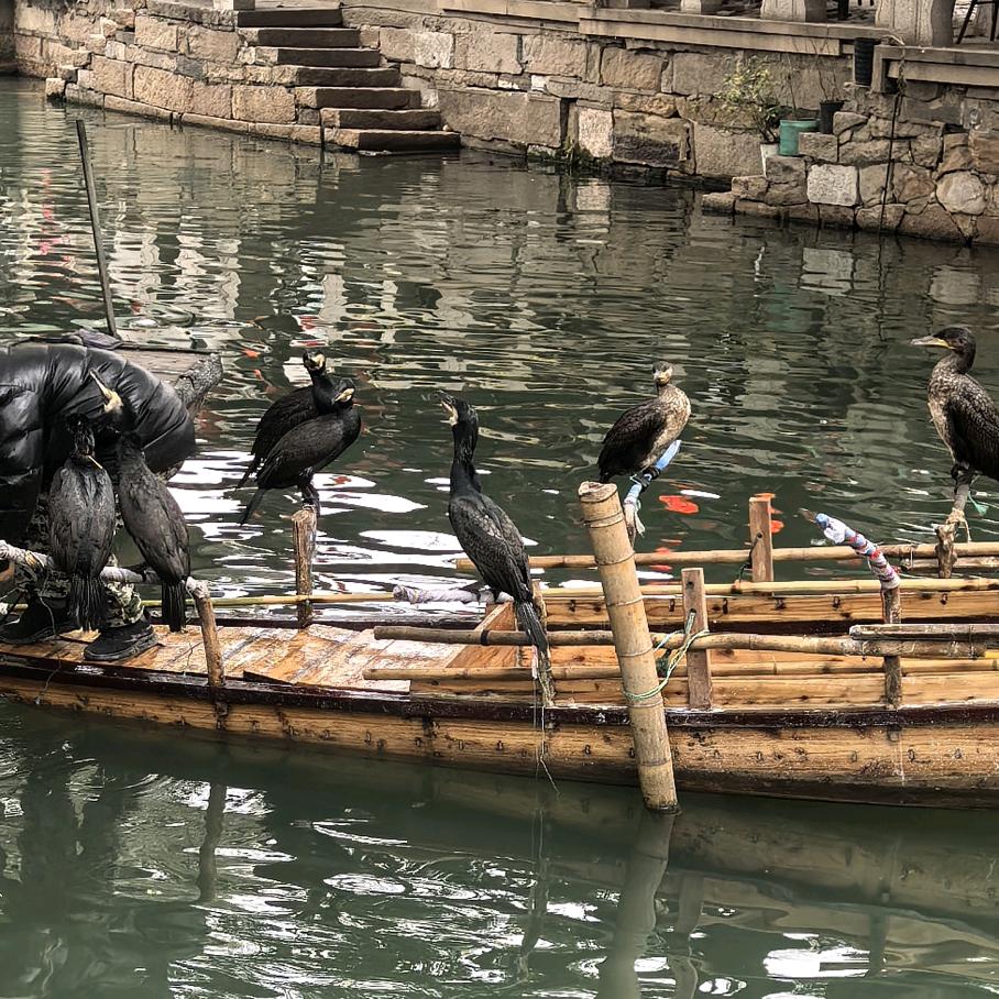 永無止境