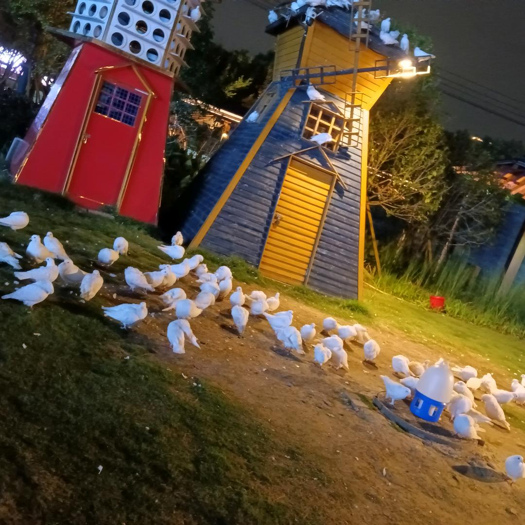 小丑🤡路亚