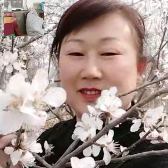 貌美如花