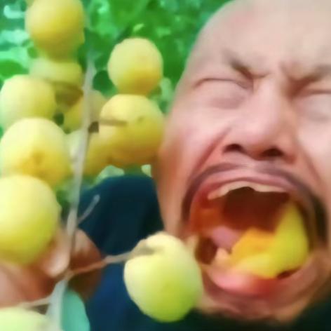 王哪里跑