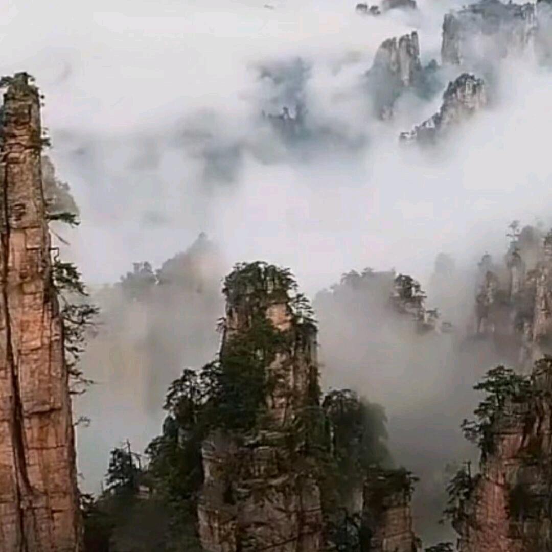 🐉🐉龙的传人：李